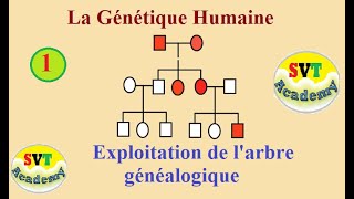 1 La génétique humaine  Exploitation de larbre généalogique  SVT BAC [upl. by Hawk]