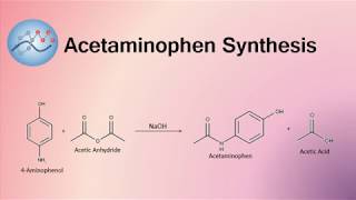 Acetaminophen Synthesis Mechanism  Organic Chemistry [upl. by Groark80]