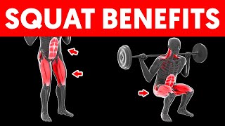 Squats Benefits and Muscle Groups Targeted [upl. by Dionysus]