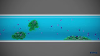 What is biofilm [upl. by Suivatco]