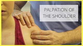 Shoulder Palpation [upl. by Drewett]