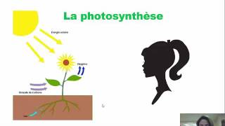 photosynthèse et respiration [upl. by Demitria168]