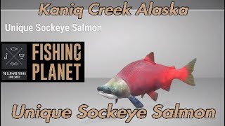 Unique Sockeye Salmon  Kaniq Creek Alaska  Fishing Planet Guide [upl. by Kaczer]