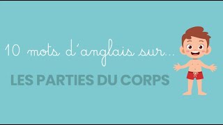 Anglais Vocabulaire Parties du corps [upl. by Aliahs]