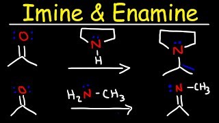 Imine and Enamine Formation Reactions With Reductive Amination [upl. by Trebloc]