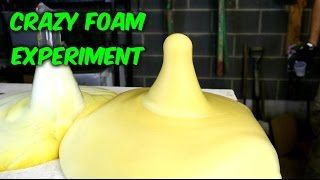 Elephants Toothpaste  Science Experiment [upl. by Horn612]