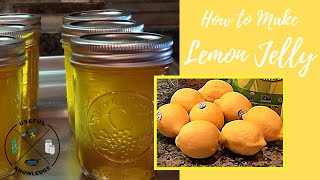 Lemon Jelly  Useful Knowledge [upl. by Lainey]