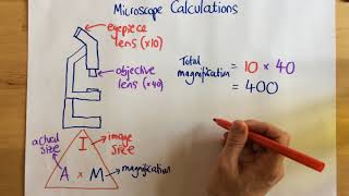 Microscope Calculations  p14 [upl. by Noislla385]