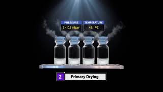 Product Lyophilization Process [upl. by Amilah]