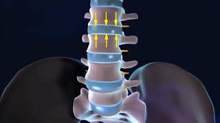 Columna Vertebral Biomecánica y flexión [upl. by Dniren910]