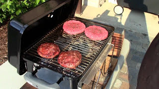 Review Weber GoAnywhere Charcoal Grill [upl. by Aicinet]