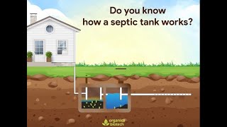 How A Septic Tank Works Septic Tank Treatment  Organica Biotech [upl. by Dedric]