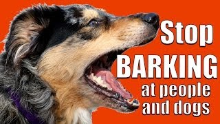 How to TEACH ANY DOG NOT to BARK at Other DOGS and PEOPLE on a Walk [upl. by Giuliana]