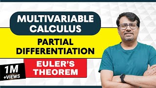 Partial Differentiation  Eulers Theorem for Homogeneous Function [upl. by Daahsar830]