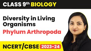 Phylum Arthropoda  Diversity in Living Organisms  Class 9 Biology  202324 [upl. by Averil]