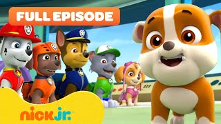 Rubble Joins the PAW Patrol and the Pups Save a Walrus  FULL EPISODES  Nick Jr [upl. by Mcdermott]