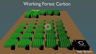 Working Forest Carbon [upl. by Franzoni]