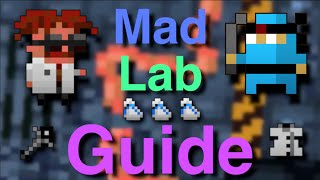 RotMG  Mad Lab Guide [upl. by Alvarez422]