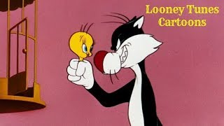 Looney Tunes Best of Tweety Bird and Sylvester  Classic Cartoon [upl. by Kcaz507]