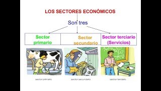 Sectores económicos [upl. by Reneta]