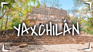 YAXCHILÁN en CHIAPAS 🔴Cómo llegar cuánto cuesta qué hay ► CIUDAD MAYA EN LA SELVA [upl. by Baal]