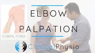 Elbow Palpation  Clinical Physio Premium [upl. by Hanoy382]