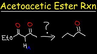 Acetoacetic Ester Synthesis Reaction Mechanism [upl. by Orvil]