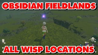 Obsidian Fieldlands Wisp Locations [upl. by Iliram]