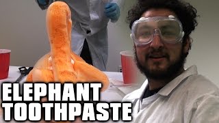 Elephant Toothpaste Experiment [upl. by Marcellina661]