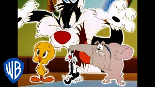 Looney Tunes  Catching Tweety  Classic Cartoon Compilation  WB Kids [upl. by Limoli]