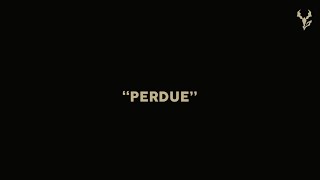 Yseult  PERDUE Lyric Video [upl. by Olenolin]