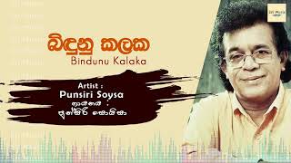 Bindunu Kalaka  Punsiri Soysa  sinhala songs  Sri Music [upl. by Ynaffi253]