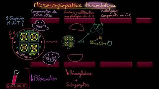 Microangiopathie thrombotique  Partie 1  Théorie  Docteur Synapse [upl. by Alhak84]