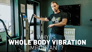 Why is Whole Body Vibration Important [upl. by Melentha]