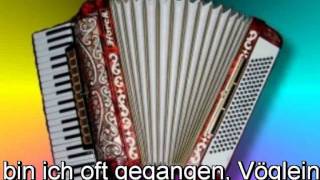 Volkslieder Medley 5 Lieder [upl. by Durkin]