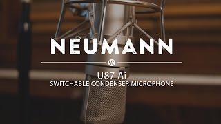 Neumann U87 Ai Switchable Condenser Microphone  Reverb Demo Video [upl. by Ahsratal]