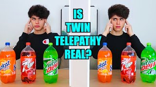 REAL TWIN TELEPATHY TEST [upl. by Neve]