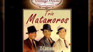 Trio Matamoros  Amor Fingido VintageMusices [upl. by Giliane557]