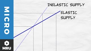 Elasticity of Supply [upl. by Rintoul]