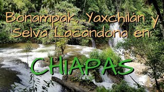 ¿Cómo ir a Bonampak Yaxchilán y la Selva Lacandona ¿Cuánto cuesta un tour en Chiapas [upl. by Stock]