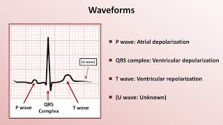 ECG Interpretation StepbyStep Guide [upl. by Sholom111]