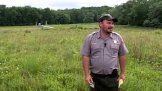 The Wheatfield A Gettysburg Battle Walk  Ranger John Hoptak [upl. by Asnerek]