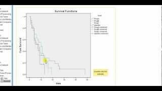 SPSS for medics KaplanMeier survival curve analysis [upl. by Handy]