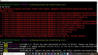 Cannot find module angulardevkitbuildangularpackagejson [upl. by Ycnaffit]