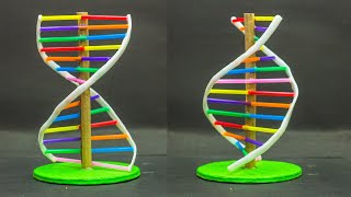 School Science Projects  DNA Model [upl. by Lindsy]