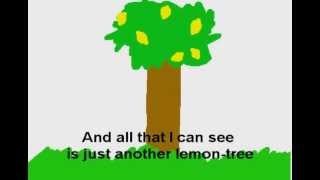 LEMON TREE  Fools Garden with LYRICS [upl. by Ahel]