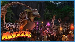 DreamWorks Madagascar  Meet King Julien  Madagascar Movie Clip [upl. by Corrie525]