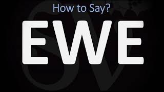 How to Pronounce Ewe CORRECTLY [upl. by Eaned475]