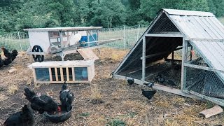 5 Chicken Coops That Work  5 Brilliant Ways [upl. by Auqenahc723]