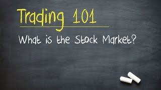 Trading 101 What is the Stock Market [upl. by Nolitta113]